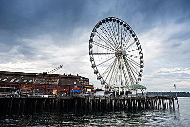 《上古卷轴5》开场剧情开发趣闻 蜜蜂竟让马车上天